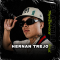 La Plantilla De Voz Hernan Trejo